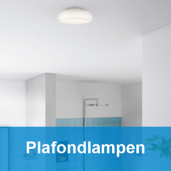 Bergbeklimmer Lief Geschatte Philips Alle led lampen myBathroom 123led.nl