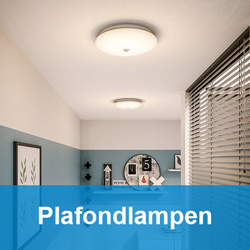 Philips myLiving Plafondlamp