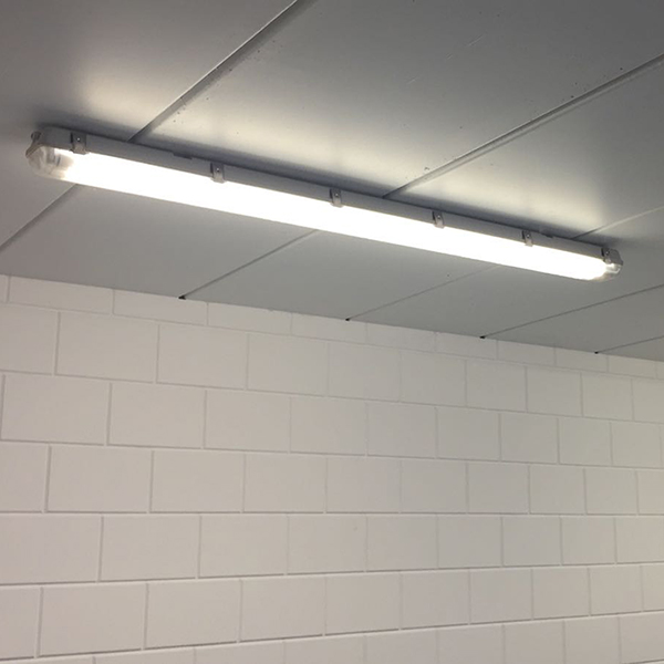 Talloos klap kosten Blog - Projectverlichting: led TL-buizen, ledpanelen en wandlampen|  123led.nl