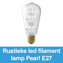 Rustieke led filament lamp Pearl E27