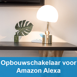 Opbouwschakelaar voor Amazon Alexa
