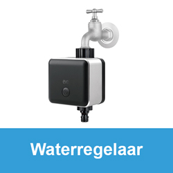 Eve Waterregelaar