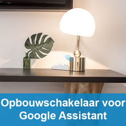 Opbouwschakelaar voor Google Assistant