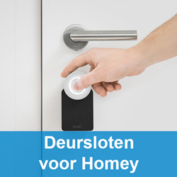 Deursloten voor Homey