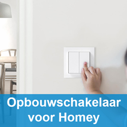 Opbouwschakelaar voor Homey