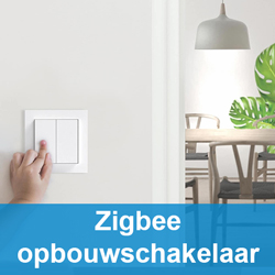 Zigbee _opbouwschakelaar