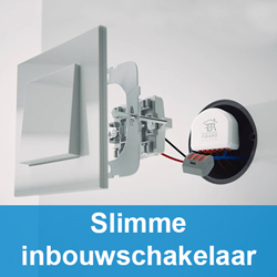 bevestigen Uitsluiting graven ⋙ Slimme schakelaar kopen? Kijk snel! | 123led.nl