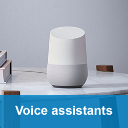 Voice assistants