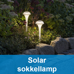 onaangenaam Rook smeren ⋙ Solar LED tuinverlichting kopen? | 123led.nl