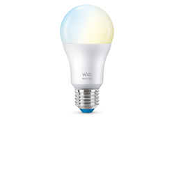 WiZ Whites Slimme Lamp E28