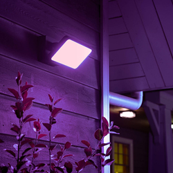 Philips Hue Discover