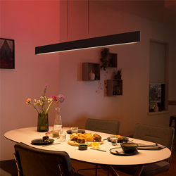 Philips Hue Ensis