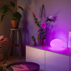 Philips Hue Flourish